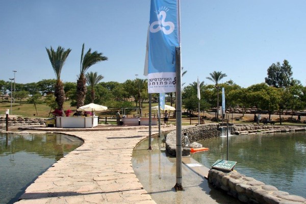 17 מתוך 546